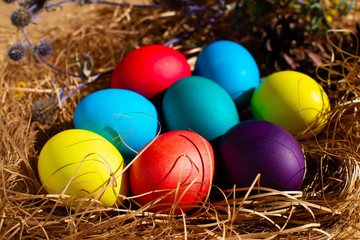 Fototapeta na wymiar Painted Easter eggs in a nest of straw. Sunlight. Easter still life.