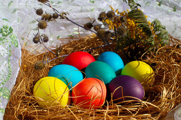 Painted Easter eggs in a nest of straw. Sunlight. Easter still life. - 336482954