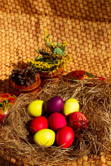 Painted Easter eggs in a nest of straw. Sunlight. Easter still life. - 336483152