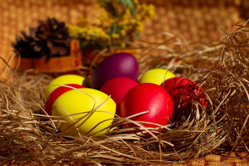 Painted Easter eggs in a nest of straw. Sunlight. Easter still life. - 336483197
