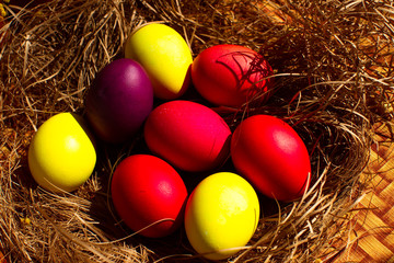 Painted Easter eggs in a nest of straw. Sunlight. Easter still life. - 336483321