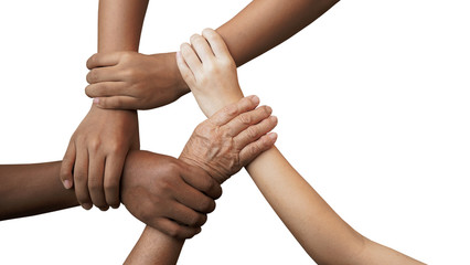 Human join hands together isolated on white background, collaboration of business and education...