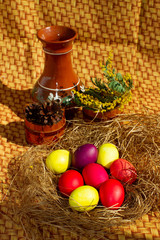 Painted Easter eggs in a nest of straw. Sunlight. Easter still life. - 336483382