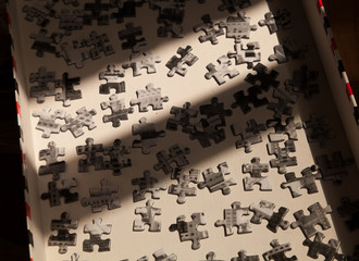 Puzzle pieces in a box
