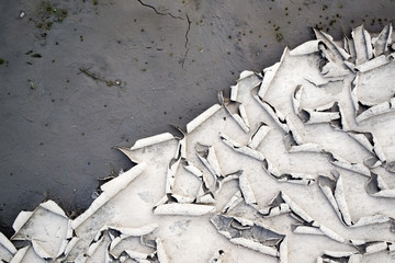 Structure cracked soil (earth) texture, desert cracks, dry surface. Arid and drought land floor has many grooves and scratches. Soil erosion