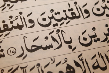 Closeup of the Quran