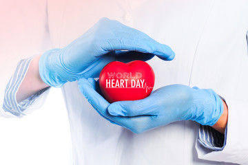 Doctor holding heart concept off World Heart Day - Image - Powered by Adobe