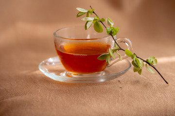 glass cup of tea by the window with green young branches