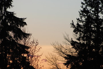 Obraz na płótnie Canvas Sunset between trees