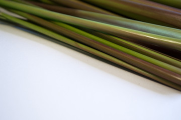 Fototapeta premium Lemongrass over white background.