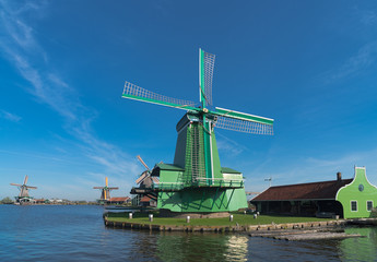 Fototapeta na wymiar traditional dutch windmills