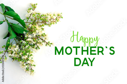 Happy Mother's Day Crape Myrtle blooms with green leaves isolated on white background.