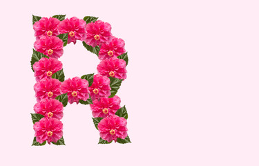 Pink Hibiscus Flower Alphabet R on isolated Background. Beautiful China Rose flower letter. Beautiful Double headed Pink Hibiscus Flower font