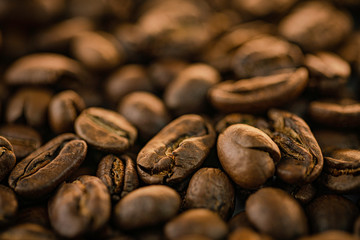 Coffee beans mexico chiapas oaxaca café de altura