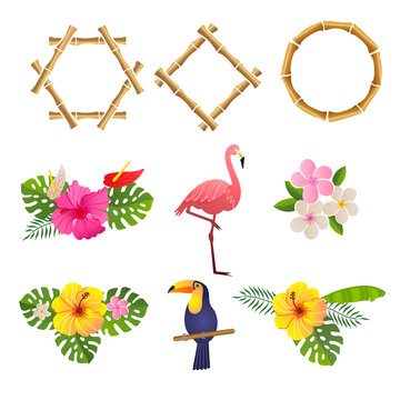 bamboo frames with flamingo,toucan, and flowers, vector illustration on a white background
