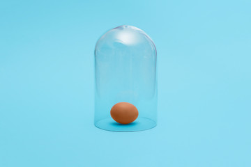 Brown egg in quarantine under a glass cloche dome on a blue background with copy space and room for text