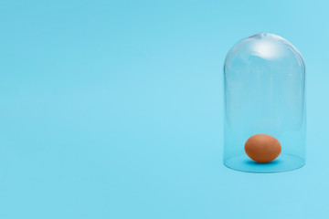 Brown egg in quarantine under a glass cloche dome on a blue background with copy space and room for text with a right side composition.