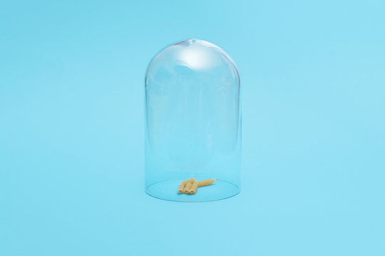 Dry uncooked pasta in quarantine under a glass cloche dome on a blue background with copy space and room for text