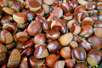 Closeup Heap of Raw Chestnuts at the Market