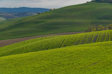 Obraz premium panorama of the Chianti hills in Tuscany