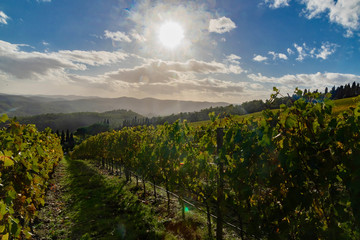 Naklejka premium panorama of the Chianti hills in Tuscany