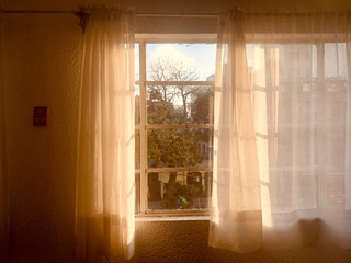 Fototapeta premium Atardecer