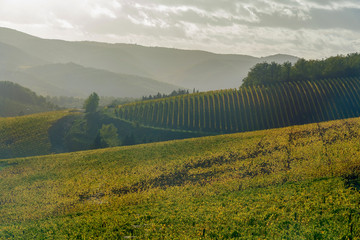 panorama of the Chianti hills in Tuscany