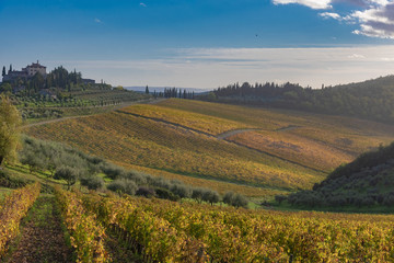 panorama of the Chianti hills in Tuscany