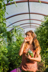 Attractive brunette harvesting vegetables: tomatoes, cucumbers, cabbage, peas, eggplants, peppers