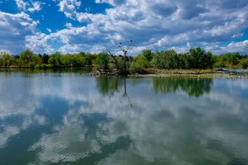 Plakat lake in the park
