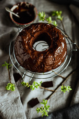 Chocolate bundt cake spring still life. Cake covered with chocolate icing. Young green leaves around, a bowl with melted frosting. Grey and beige linen table cloth