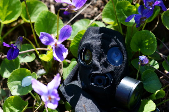 Old Gas Mask In Wild Flowers