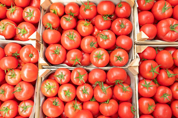 Tomato Crates Top