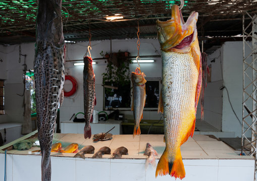 Fish shop by the Parana River
