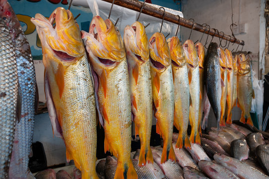 Fish shop by the Parana River
