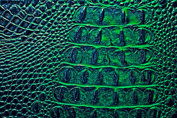 Dark alligator patterned background, green color. Reptile skin.