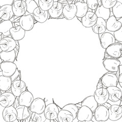 Vector background with hand drawn cherry. Sketch  illustration.