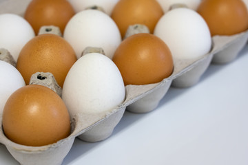 Fresh egg restaurant food menu 