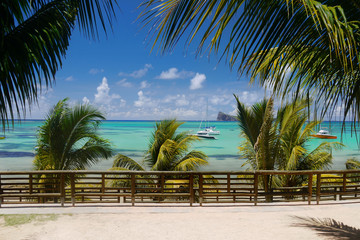 Tropical island coast beach with palm trees