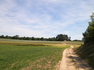 Country road and meadow in Tuchola Forest, Kashubia Region, Poland.