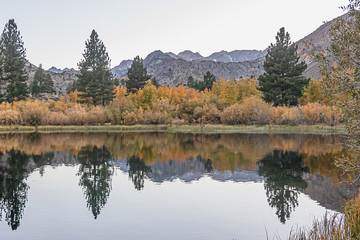 reflecctive mountain lake with pines aspens grass and mountain
