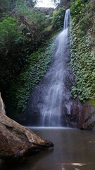 Obraz premium waterfall in the forest
