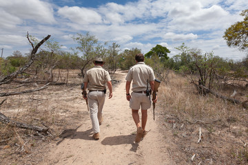 Wildlife rangers guides with guns walking away in Kruger National park bush searching for animals  © Katya Tsvetkova 