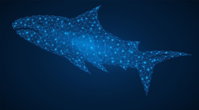 Shark. A network of connected lines and dots forms a predatory fish. Abstract blue background.