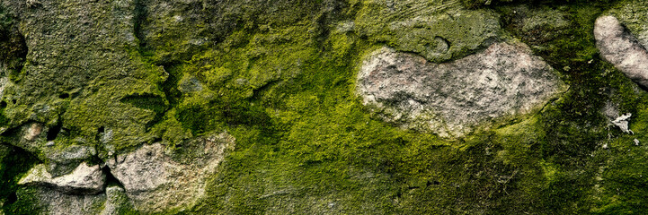 Old grunge gray textured background. Creat background with copy space