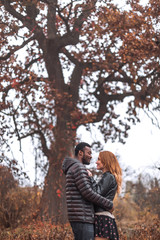 Fototapeta premium Interracial couple posing in autumn leaves background