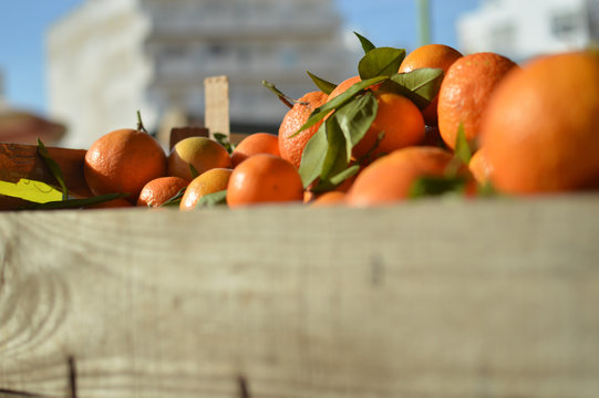 Fresh oranges on the grocery store in the supermarket. Fruit season. Vitamins concept