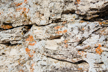 Fact-based grey wall stone wall