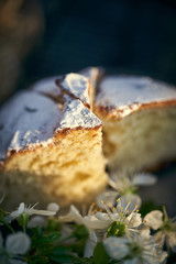 Traditional russian Easter cottage cheese dessert. Orthodox paskha, kulich cakes on table.