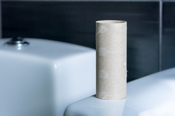 Empty toilet roll depicting helplessness and crisis